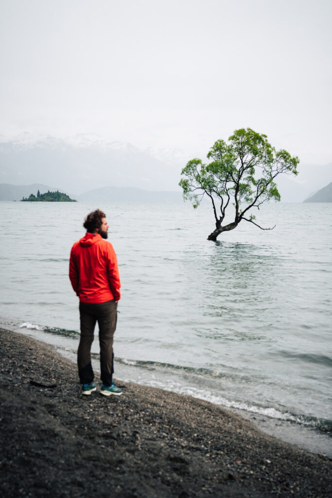Wanaka Tree Nouvelle Zélande
