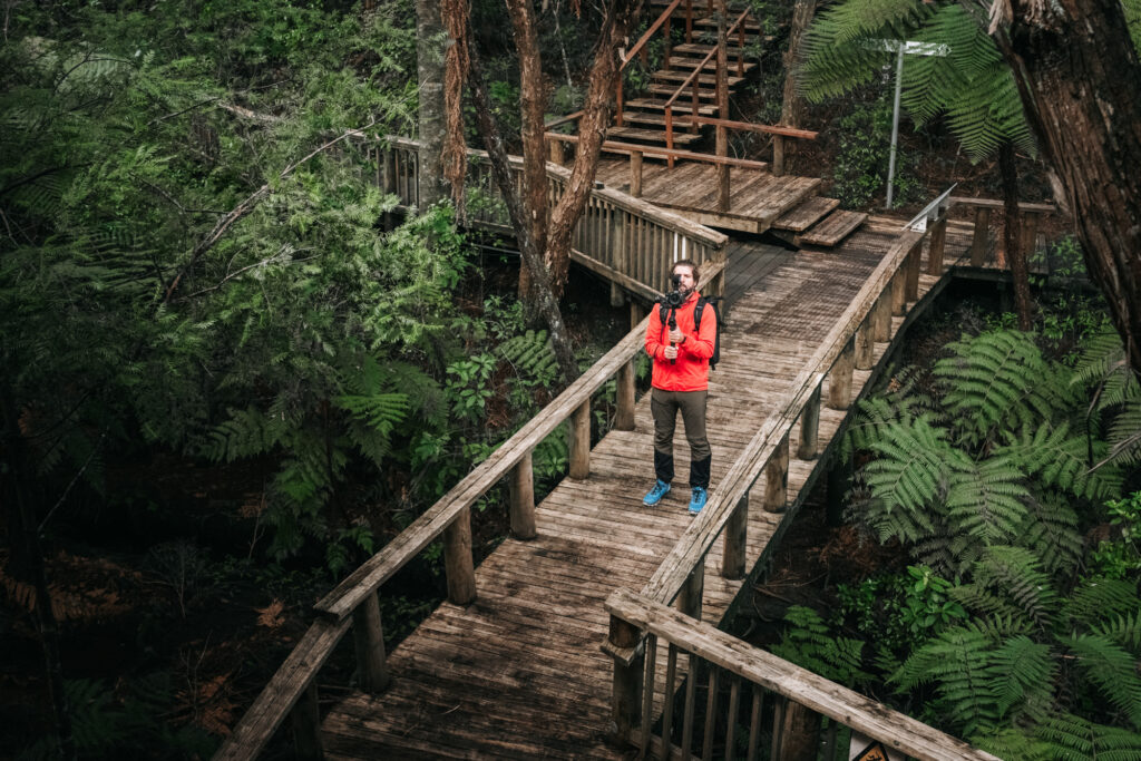 Waitangi Treaty Grounds Northland